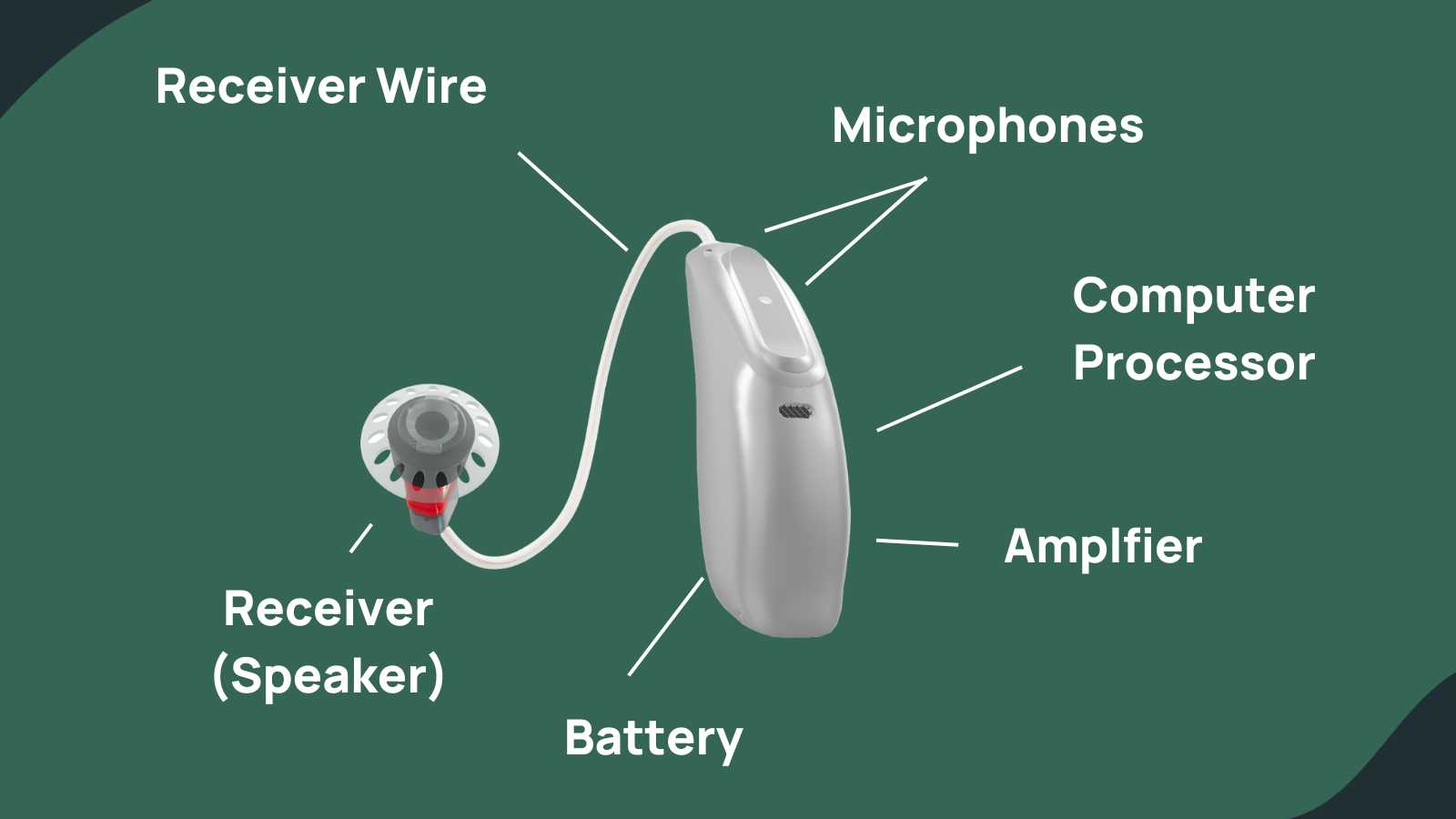 How Hearing Aids Actually Work